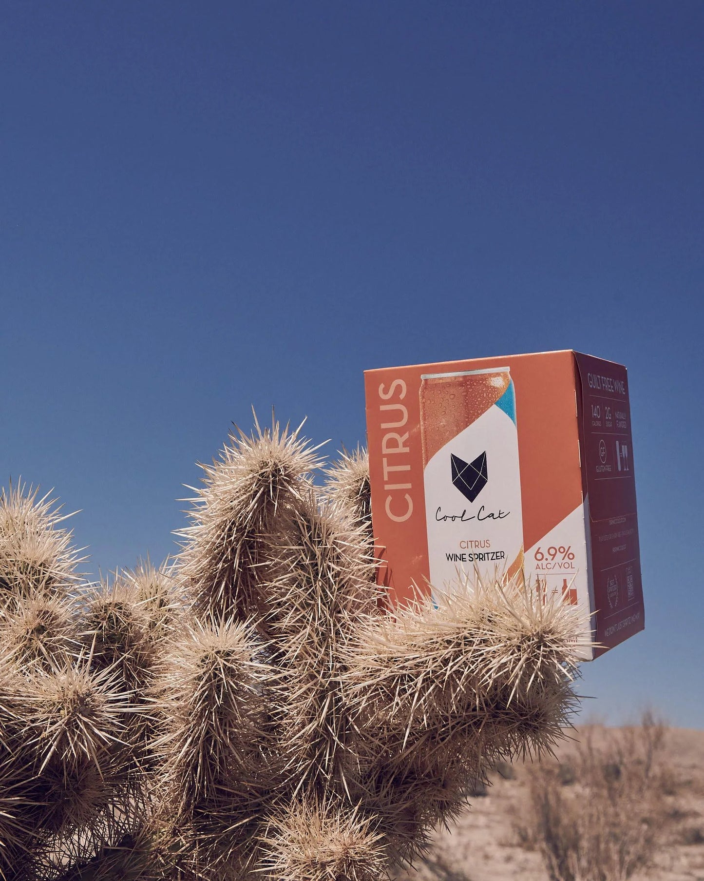A 4-pack of Cool Cat Citrus Sparkling Cocktail in the desert.